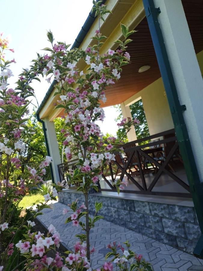Villa Rokiti Zewnętrze zdjęcie